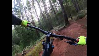 Alsea Falls: Springboard - top section
