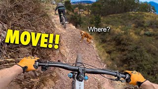 I just met up with 10 subscribers in Peru for...