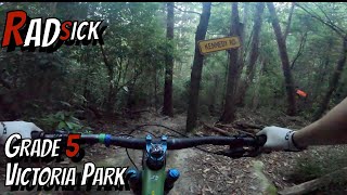 Tiny spicy trail at Vic Park. It's Rad^sick