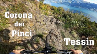 Corona dei Pinci (Variante Süd Cassina Trail)...