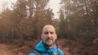 MTB Wareham Forest - Up and Downs Trail