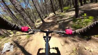 Scorpion - Kalamunda Mountain Bike Circuit