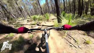 Missing Link into Metasoma - Kalamunda...