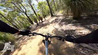 Flaccid Ashback - Kalamunda Mountain Bike Circuit