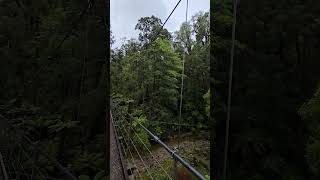Paparoa Track, West Coast, New Zealand