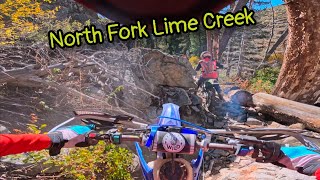 North Fork Lime Creek | Sawtooth National Forest