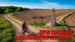 RUTA CIRCULAR A CASARRUBIOS DEL MONTE