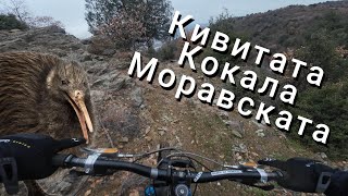 Кресна бейбе™