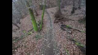 Trailview: Fischerpfad, Koblenzer Stadtwald