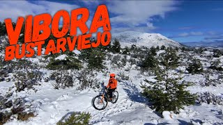 ‍♂️ Vibora ❄️   | Bustarviejo...