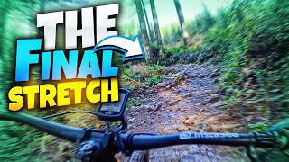 Lower Cold Creek 2026 | Yacolt Burn State Forest