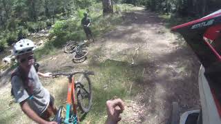 Delatite River Trail Pt.3 (Bridges)
