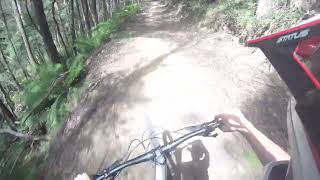 Box Corner Link - Delatite River Trail - ...