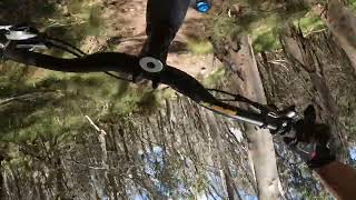 Abom - 04/01/2025 — ERROR - FLIP 180 DEGREES