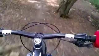 Epping Forest Laguna Seca Mountain Bike Trail MTB