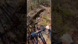 Porky’s DH LAST PART