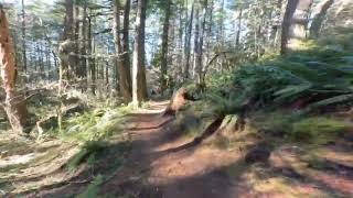 Roemer Downhill