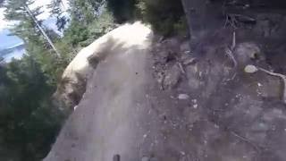 Wynyard Express DH, Queenstown