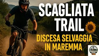 SCAGLIATA TRAIL –MTB POV -- Discesa...