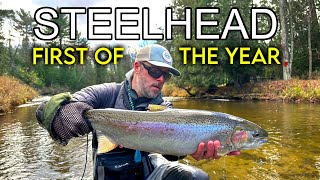 Fall Steelhead - FIRST of the 2025 Season...