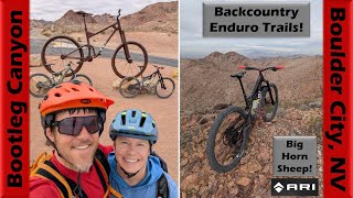 Bighorn Sheep & Enduro Trails at Bootleg...