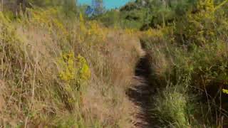 Rebaldi Trail