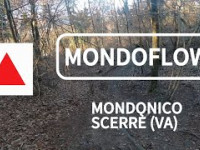 MondoFlow - Mondonico (VA) - RIPIDO E...
