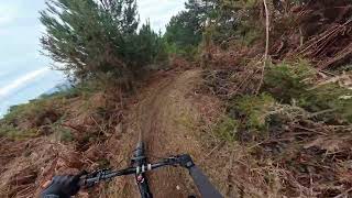 Scimmion - Pasquilio Bike Arena
