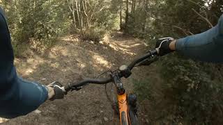 DH Corbera