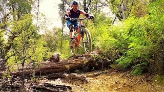 Peaking Ridge Trail HQ, Nelson, New Zealand