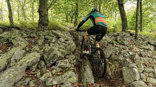 Is Trans-Sylvania MTB Epic One Big Rock Garden?