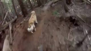 Mountain Biking - Wet Dreams - Nelson,BC 7/16/2013
