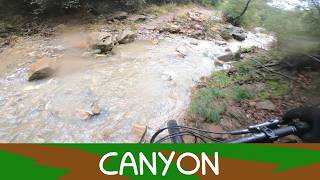 MTB Livorno 14.02.2026 sentiero CANYON