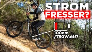 Bosch CX Performance Update: 100 Nm / 750 W...