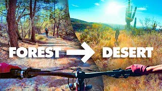 FROM FOREST TO DESERT! | Riding Mt. Lemmon in...