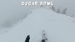 Sugar Bowl: Pow Day | Day 16 S25/26 | Snowboard