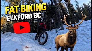 Elkford TMNT Fat Bike Trails