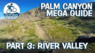 Palm Canyon Epic Mega Guide | Part 3: River Valley