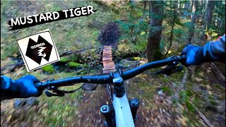 MUSTARD TIGER | Double black trail | Whistler