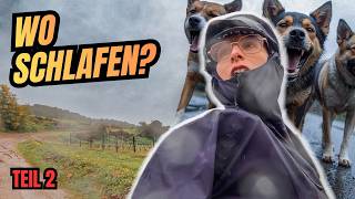 Zwischen Hochwasser und Hundegebell |...