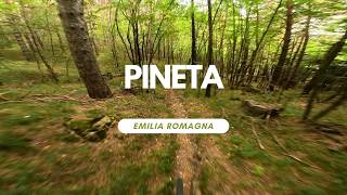 Pineta  Emilia Romagna Tuscany Italy  Trail...