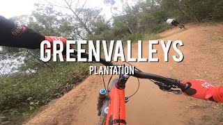 Greenvalleys Mountain Bike Park - Plantation...