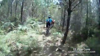 MTB-TV - Wingello - Red Loop - 15. Pine Cone