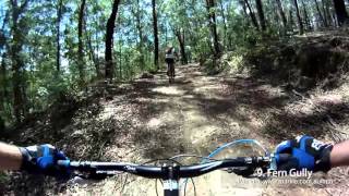MTB-TV - Wingello - Red Loop - 9. Banksia...