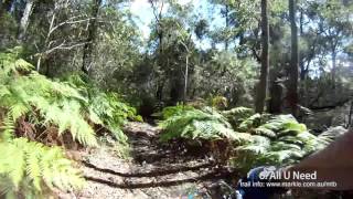MTB-TV - Wingello - Red Loop - 6. Where's...