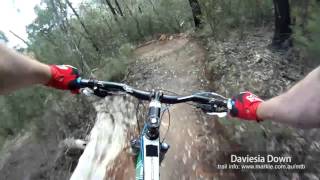 MTB-TV - Bruce Ridge - Daviesia Down