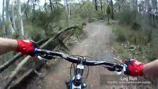 MTB-TV - Bruce Ridge - Log Run