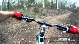 MTB-TV - Bruce Ridge - Daviesia Up