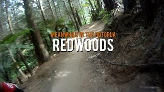 MTB-TV - Nine Days in the Rotorua Redwoods...