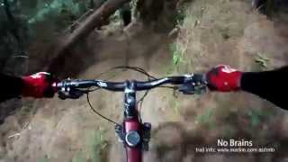MTB-TV - Rotorua Redwoods - No Brains and No...